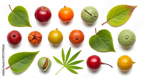set of fruits