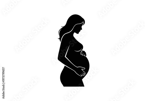 A very beautiful and well shaped silhouette of a pregnant woman holding her belly vector illustration of motherhood and pregnancy