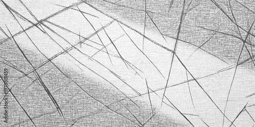 Abstract line art creates a visually arresting and artistic composition, with textured elements and striking graphic impact.