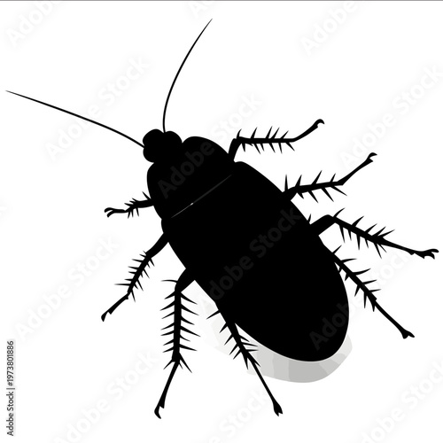 black silhouette roach on a white backgrounk vector