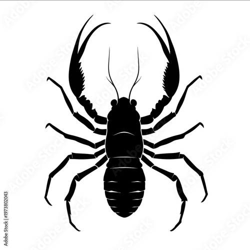 black silhouette whip scorpion on a white backgrounk vector