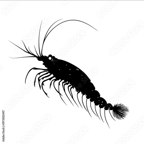 black silhouette krill on a white backgrounk vector