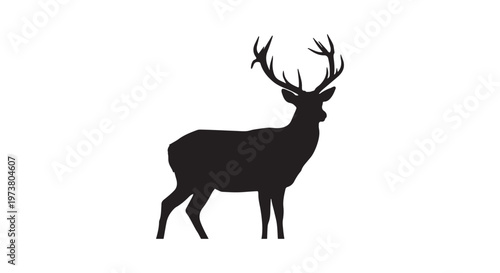 Majestic black horse rearing with flowing mane and tail captured in a dynamic pose