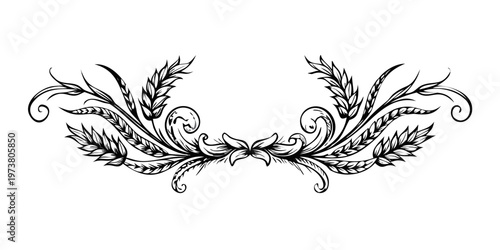 Elegant vintage wheat ear scroll divider design, vector