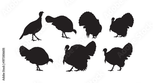 Silicone bakeware featuring star-shaped molds for creating delicious and visually appealing desserts at home