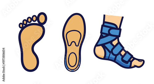 Vector Illustration Of Foot And Ankle With Orthotics For Foot Care And Rehabilitation Medical Health Icons Isolated On Transparent Background