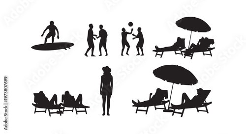A comparative illustration of different bird species in flight and standing positions