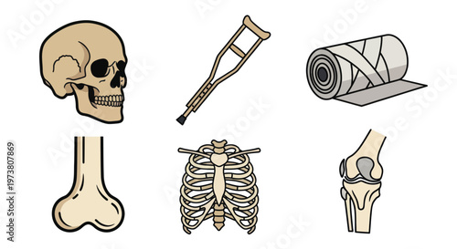 Vector Illustration Of Various Human Bones And Medical Equipment For Health And Anatomy Concept Medical Health Icons Isolated On Transparent Background