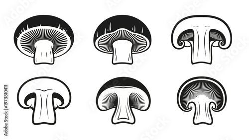 Mushroom Cross Sections Set: Black and White Line Art Illustrations