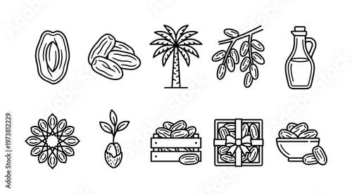 Set of date fruit icons. Includes palm tree, branch, harvest, and products like syrup or gift box. Perfect for packaging, web, or Ramadan-themed designs. Line art style.