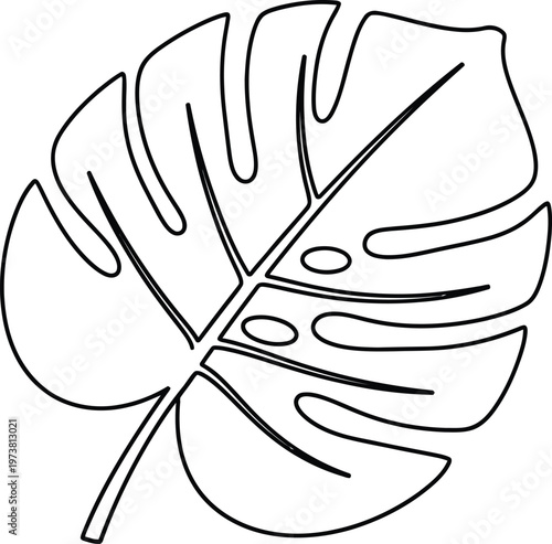 Minimalist black and white line art illustration of a single tropical monstera deliciosa leaf