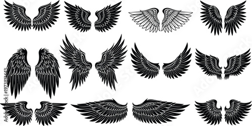 Stylized wings illustration, angel bird feather designs, spiritual freedom art, tattoo inspiration, fantasy vector collection, black white silhouette artwork