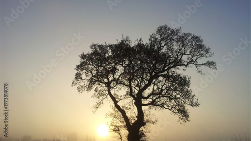 sunset in the morning