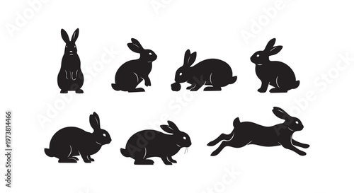 Silhouettes of birds in flight showcasing nature's elegance without detail