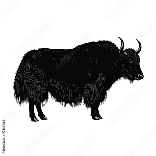 A black yak stands on grassy terrain in a natural landscape with mountains.