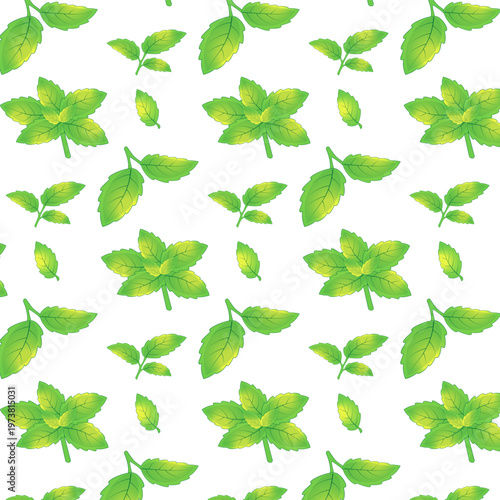Seamless pattern with fresh green mint leaves and peppermint sprigs on white background in hand drawn style