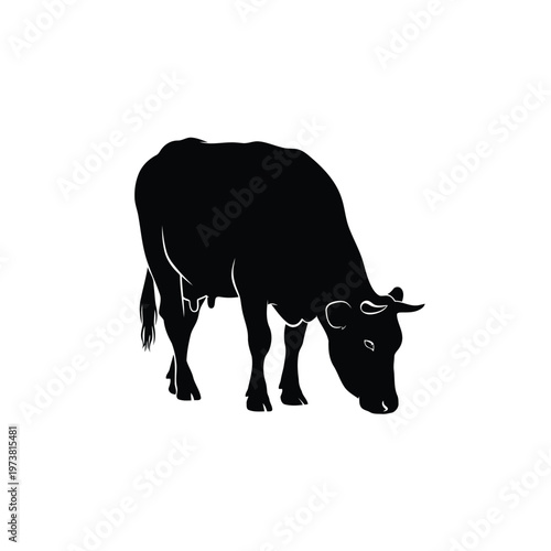 A black cow silhouette stands grazing on a plain with its head lowered.