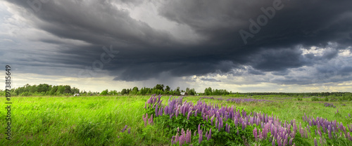 Bild auf Leinwand Dark clouds loom low over vibrant green meadow