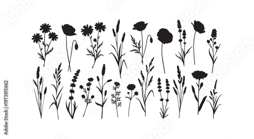 A close-up view of a microscopic organism showcasing its intricate structural details and unique flagella