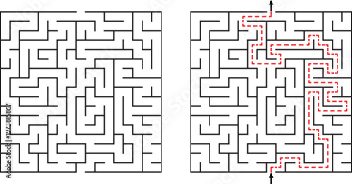 Maze Puzzle Solution Game Challenge Complex Labyrinth Design