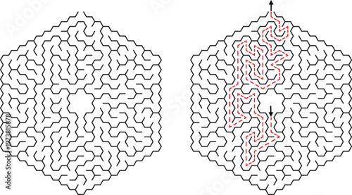 Hexagonal Maze Puzzle Solution Game Challenge Complex Design