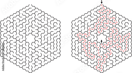 Hexagonal Maze Puzzle Challenge Solution Complex Design