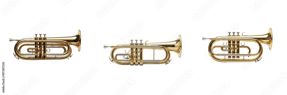 Obraz premium Set of Professional Gold Brass Cornet Musical Instruments Isolated on White