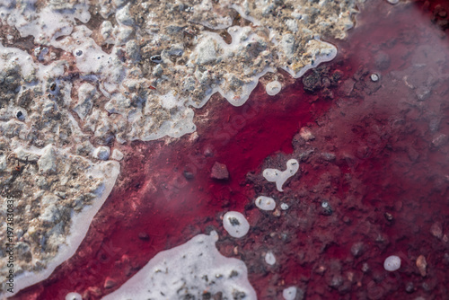 Foto Abstract red fluid and soap foam flowing over textured concrete ground, illustra