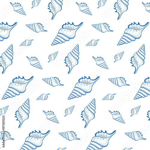 Sea mollusc shells on a white background.Vector seamless pattern of beautiful sea mollusk shells on a white background.