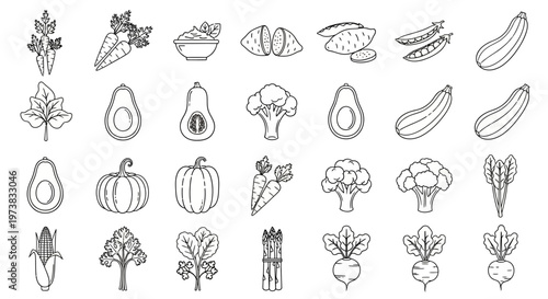 Healthy Vegetables Line Icons Set Collection of Fresh Produce and Food Illustrations