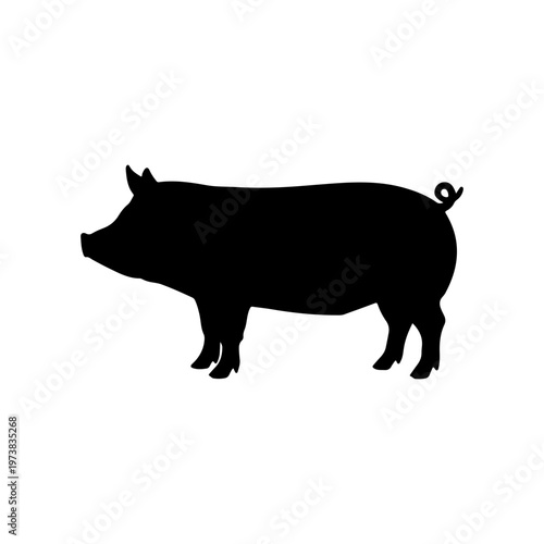 Black silhouette of large domestic pig standing sideways isolated on transparent background.