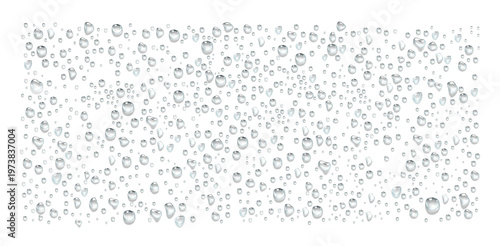 Abundant clear water droplets of various sizes scattered randomly across a white background representing condensation or rain transparent background