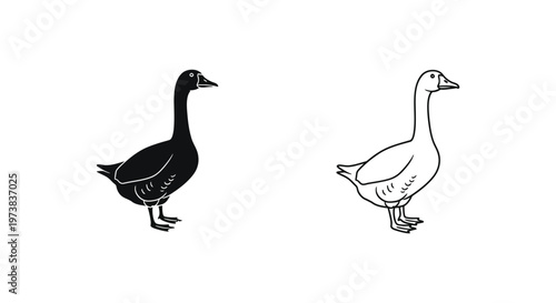 Black and White Ducks Illustration Guide Vector