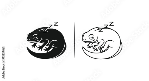 Genetic Zygote Development: Frog Z vs ZZ Vector