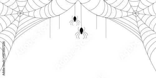 2 spider web frame, illustration of an cob web background, Spider web line art vector