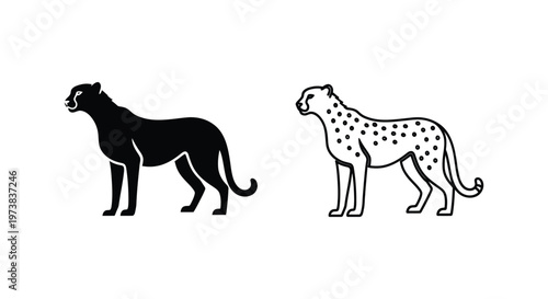 Big Cats Comparison: Leopard vs Cheetah Vector