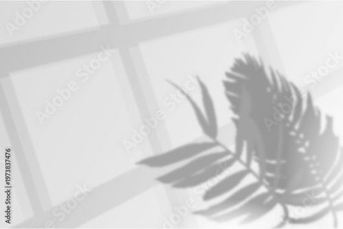 Photos Grayscale image of a leafy branch casting shadows on a bright windowpane with su