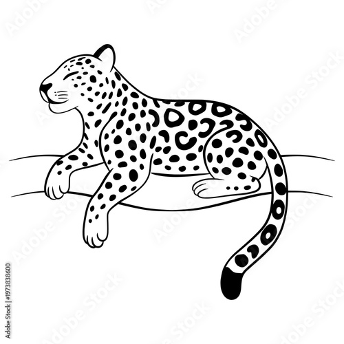 Leopard vector illustration.