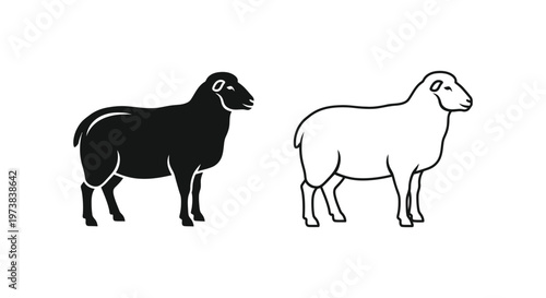 Sheep Symbols: Ram vs Ewe Vector Illustrations Guide Vector