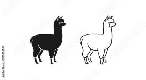 Alpaca vs Llama: Identifying Key Differences Vector