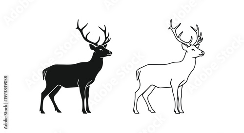 Deer Antlers Comparison: Stag vs Hind Guide Vector