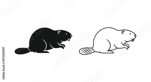 Beavers and Their Distinctive Features Guide Vector