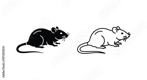 Black and White Rat Drawing Ideas Guide Vector