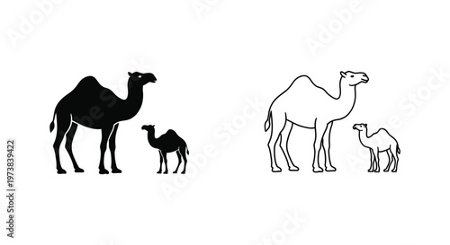 Camel Families: Dromedary Parent-Child Comparison Guide Vector