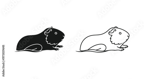 Guinea Pig Breeds Comparison: Black vs White Vector