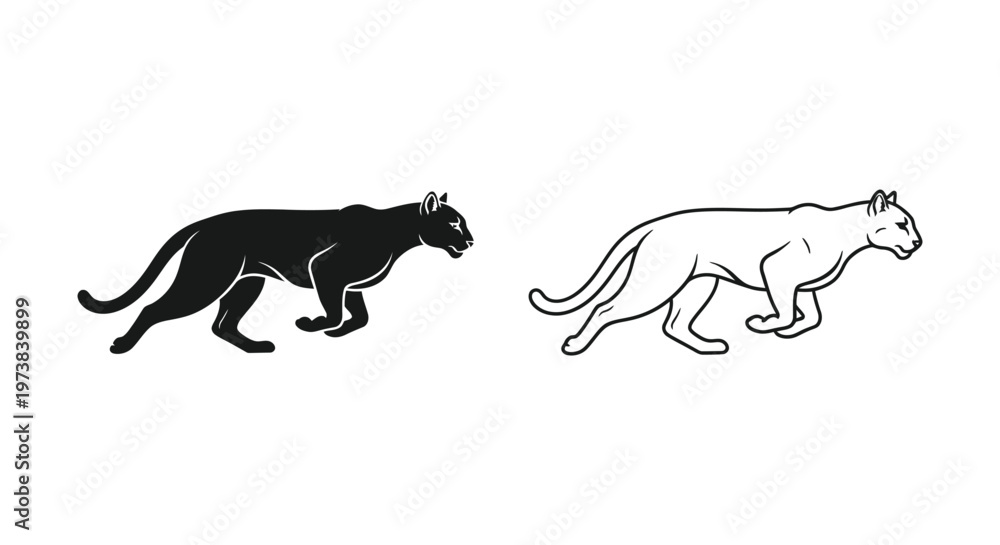 Fototapeta premium Black and Spotted Big Cats Comparison Guide Vector