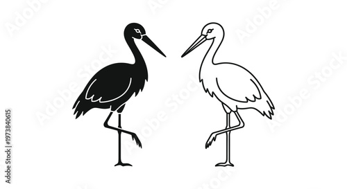 Black and White Bird Silhouettes: Storks & Cranes Vector Art Vector