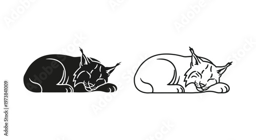 Sleeping Cat Illustrations: Relaxing Feline Art Vector