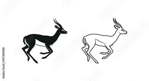 Antelope Species Comparison Guide Vector