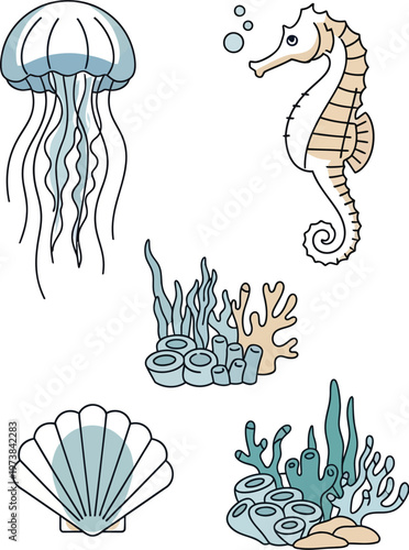 Underwater life illustration jellyfish seahorse coral and shells